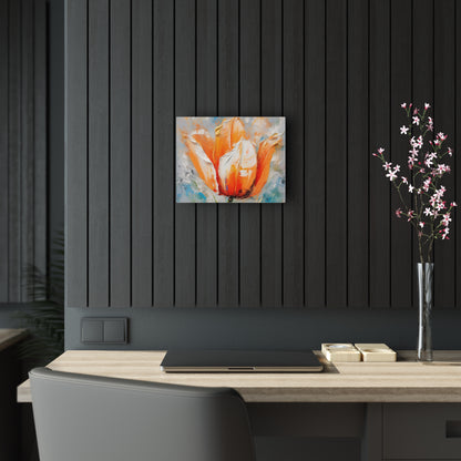 Acrylic Prints with Vibrant Orange Tulip: Embrace the Beauty of Nature