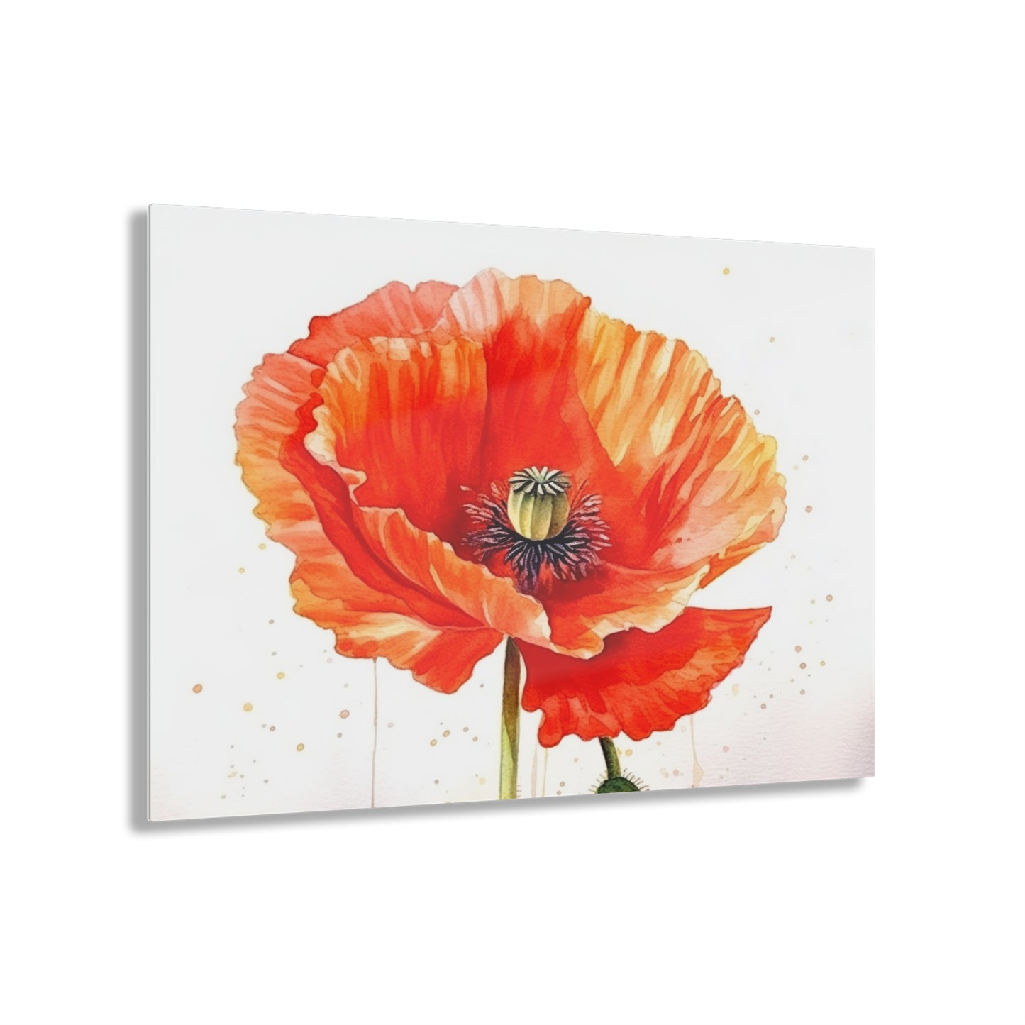 Watercolor Poppy Garden Acrylic Prints: Unleash the Beauty of Nature