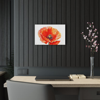 Watercolor Poppy Garden Acrylic Prints: Unleash the Beauty of Nature