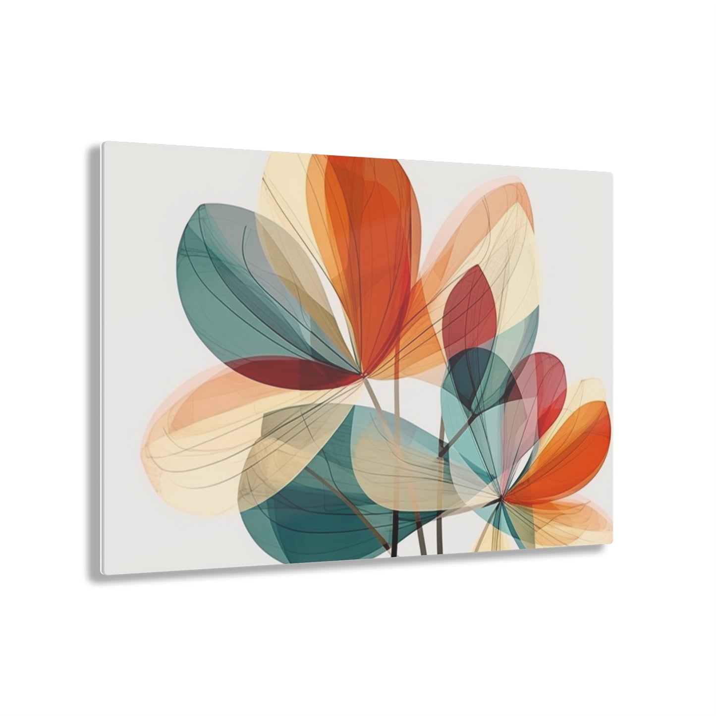Floral Blossom: Atomic Age Acrylic Prints with Midcentury Modern Design and Flower Drawings