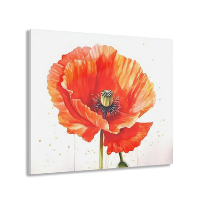 Watercolor Poppy Garden Acrylic Prints: Unleash the Beauty of Nature